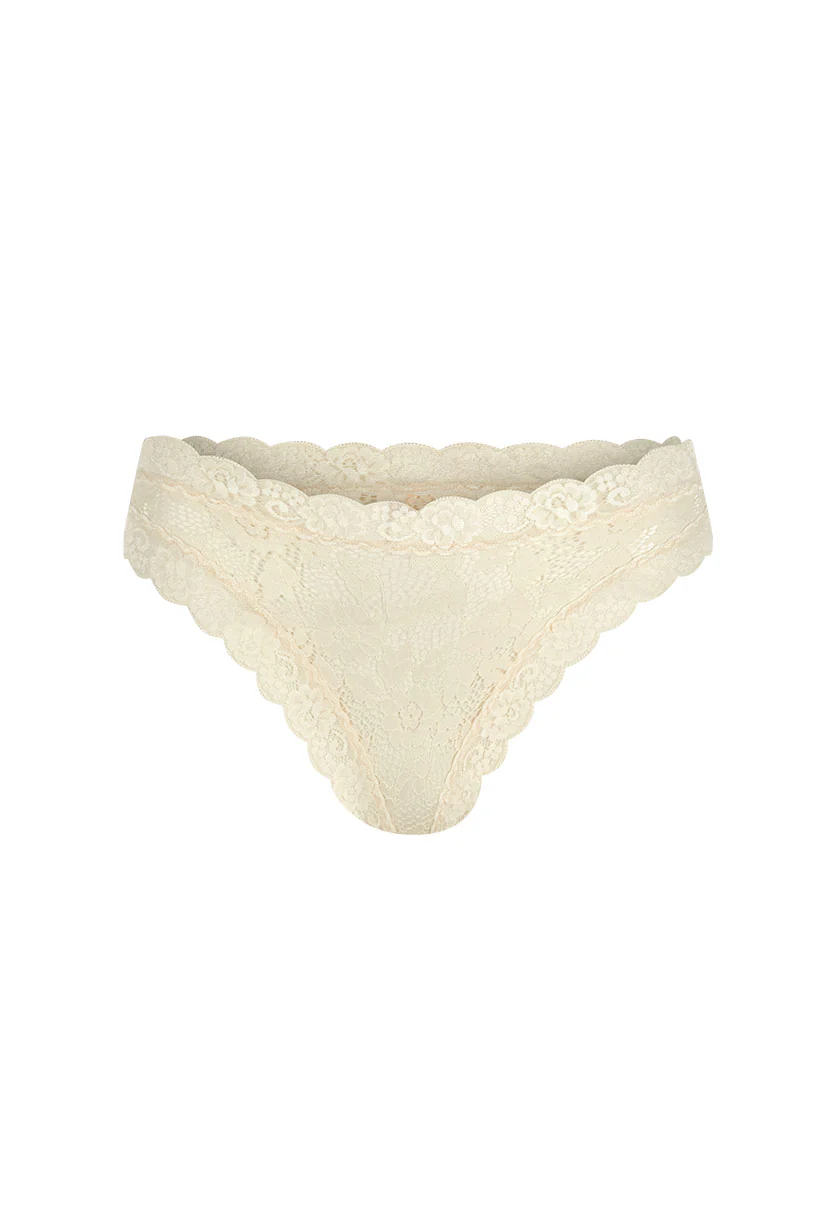 Lovers Lace Brief - Image 3