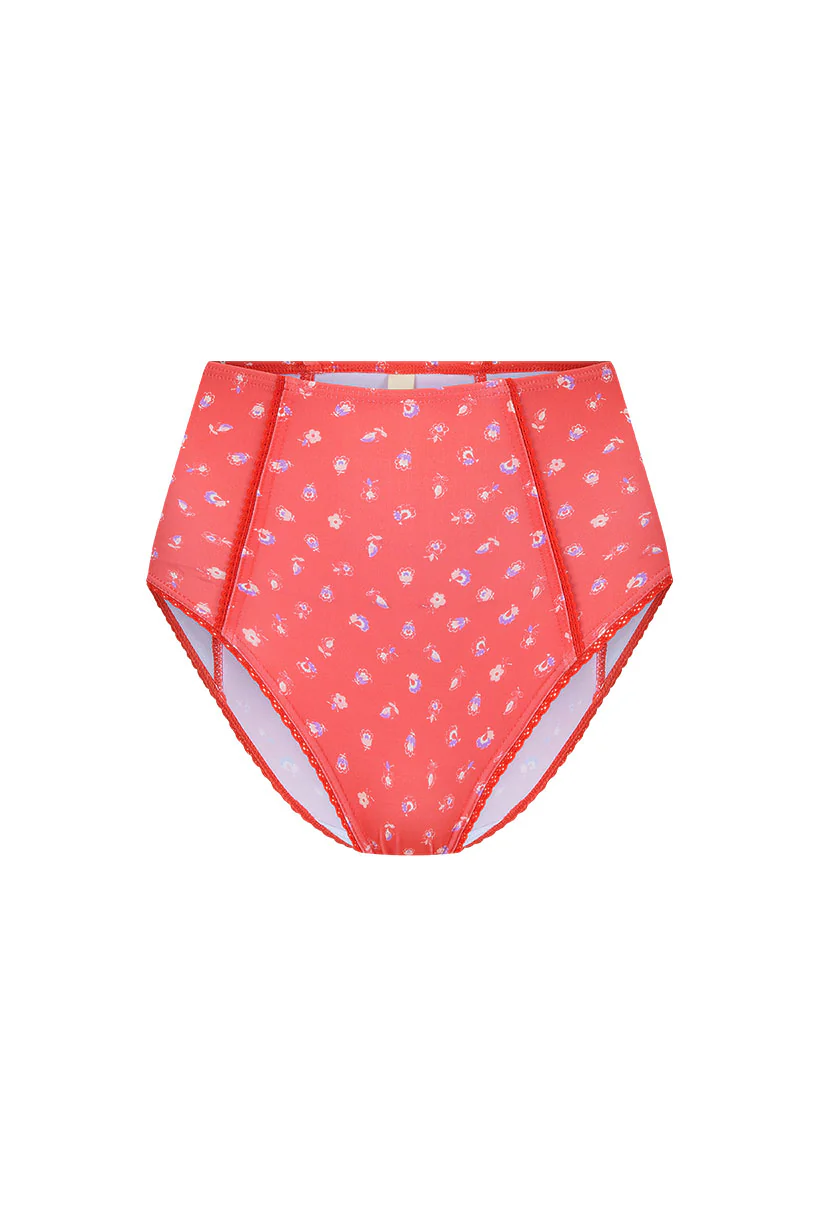 Sunshine Bandit High Waisted Brief - Image 4