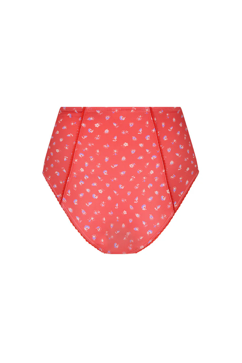 Sunshine Bandit High Waisted Brief - Image 5